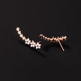 Amarant – Søde Blomster